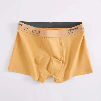 😎Antibacterial Cotton Boxer Briefs [Plus Size]