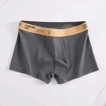 😎Antibacterial Cotton Boxer Briefs [Plus Size]