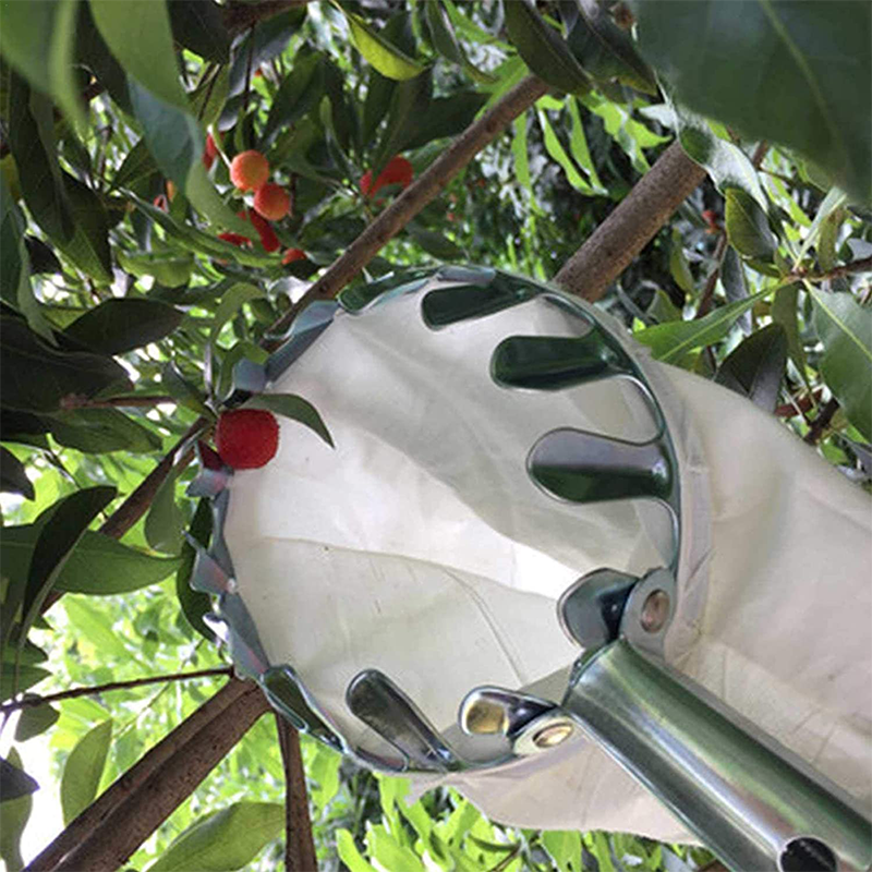Fruit Picker Head Basket – Durable Design, Easy Attach & Perfect for Reaching High Branches Without a Ladder 🌳