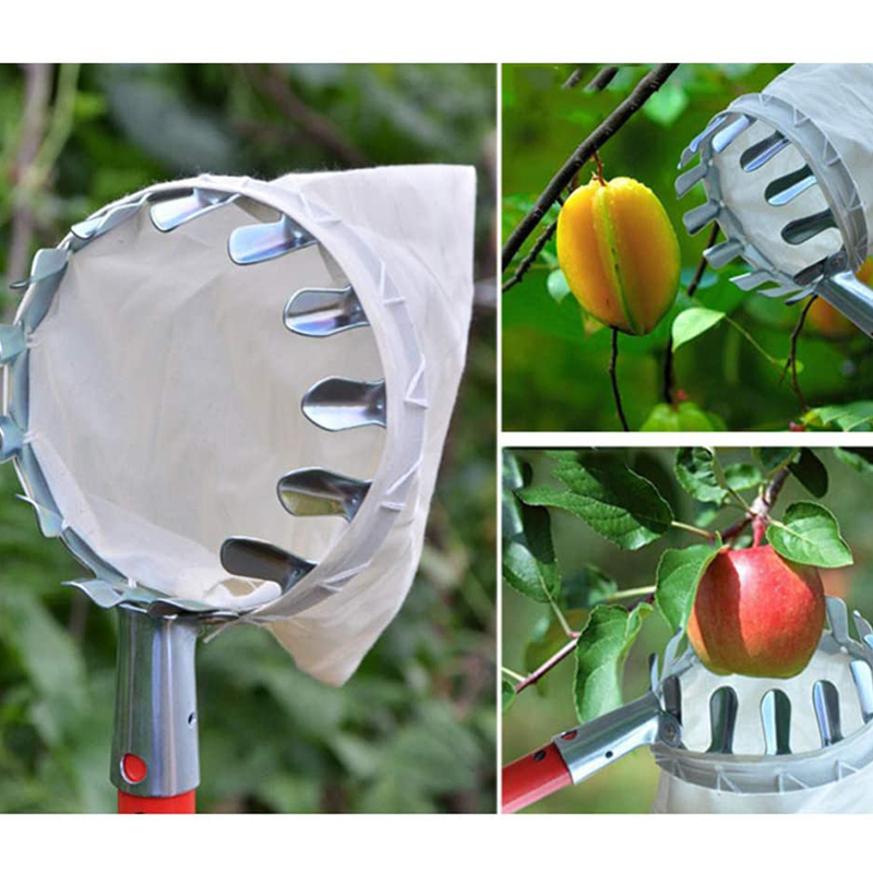 Fruit Picker Head Basket – Durable Design, Easy Attach & Perfect for Reaching High Branches Without a Ladder 🌳