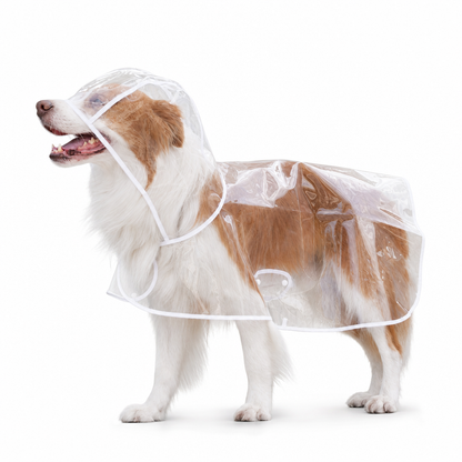 🌧️ Transparent Waterproof Dog Raincoat – XS to 8XL